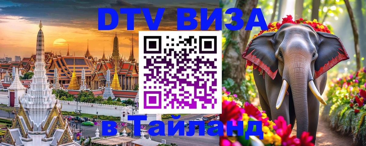 Сколько стоит DTV виза — актуальные цены, оформление даже без документов - Бийск  20.11.2025 